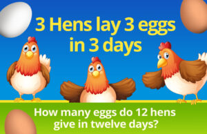 3 hens lay 3 eggs in 3 days. How many eggs do 12 hens give in twelve days?