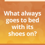 What always goes to bed with its shoes on?