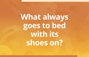 What always goes to bed with its shoes on?