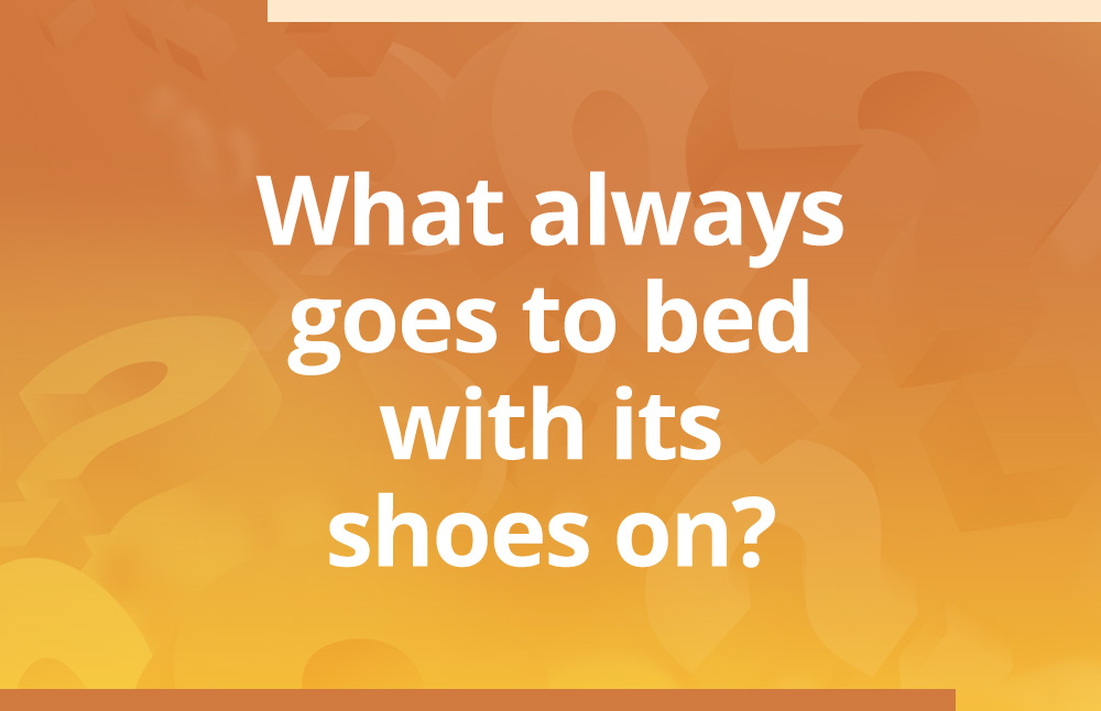 What always goes to bed with its shoes on?