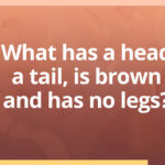 What Has A Head A Tail Is Brown And Has No Legs - Riddle