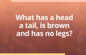 What Has A Head A Tail Is Brown And Has No Legs - Riddle