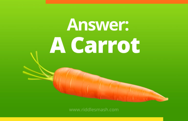 Carrot Riddle What sounds like a parrot and is orange? - Riddlesmash