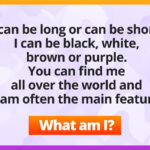 I can be long or can be short, I can be black, white, brown, red or purple. You can find me all over the world and I am often the main feature.