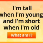 I'm tall when I'm young, I'm short when I'm old