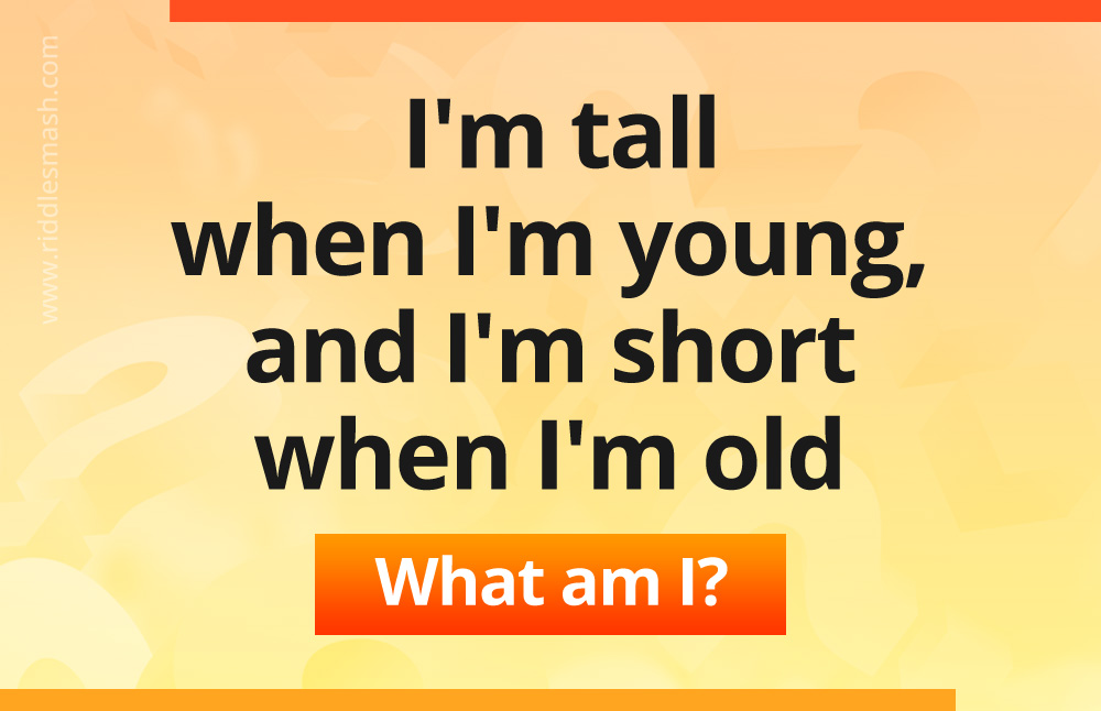 I'm tall when I'm young, I'm short when I'm old