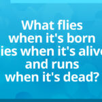 What flies when it's born, lies when it's alive and runs when it's dead?