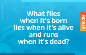 What flies when it's born, lies when it's alive and runs when it's dead?