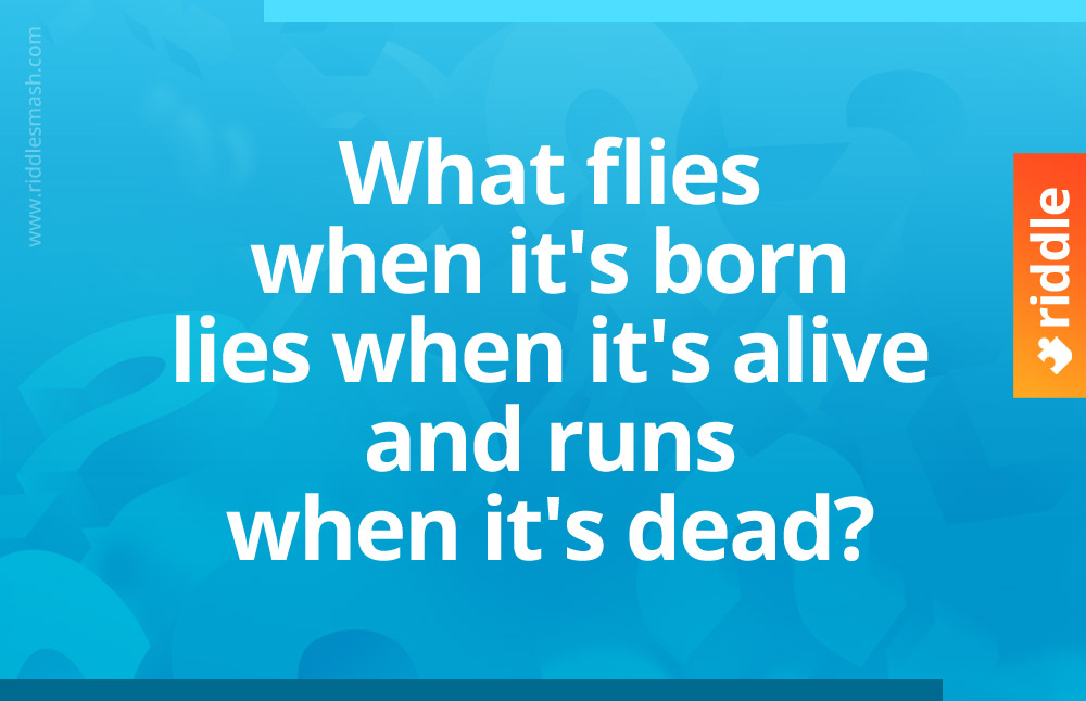 What flies when it's born, lies when it's alive and runs when it's dead?