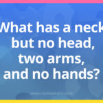 What has a neck but no head, two arms, and no hands?