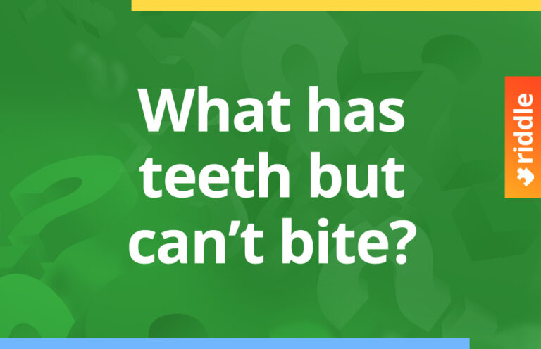 What has teeth but cannot bite? - Riddlesmash