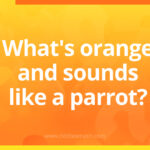 What's orange and sounds like a parrot?