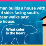 A man builds a house with all 4 sides facing south. A bear walks past the house. What color is the bear?