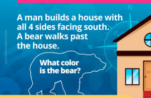 A man builds a house with all 4 sides facing south. A bear walks past the house. What color is the bear?