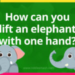 How can you lift an elephant with one hand?