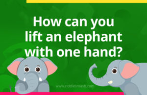 How can you lift an elephant with one hand?