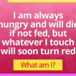 I am always hungry and will die if not fed, but whatever I touch will soon turn red. What am I?