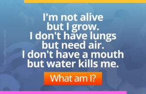 I'm not alive but I grow. I don't have lungs but need air. I don't have a mouth but water kills me. What am I?