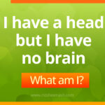 What has a head but no brain?