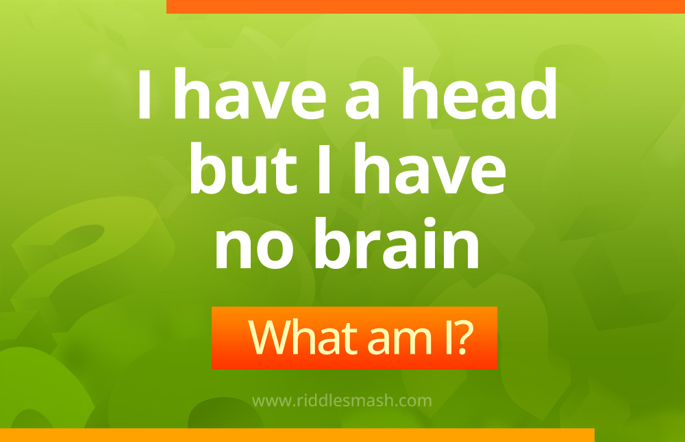 What has a head but no brain?