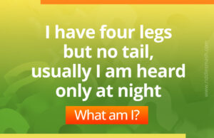 I have four legs but no tail. Usually I am heard only at night.