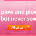 I plow and plow, but never sow - Riddle