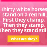 Thirty white horses stand on a red hill, First they champ, Then they stamp, Then they stand still.