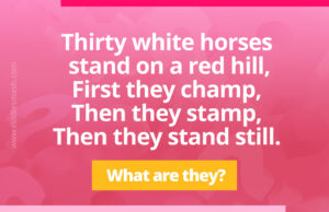 Thirty white horses stand on a red hill, First they champ, Then they stamp, Then they stand still.