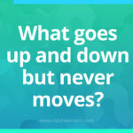 What goes up and down but never moves?​