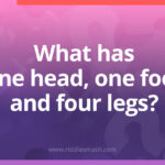 What has one head, one foot and four legs?