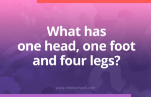 What has one head, one foot and four legs?