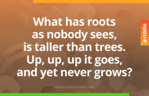 What has roots as nobody sees, is taller than trees. Up, up, up it goes, and yet never grows?