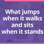 What jumps when it walks and sits when it stands