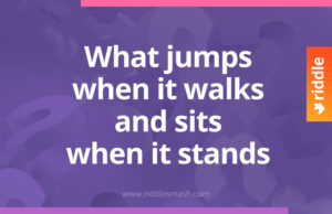 What jumps when it walks and sits when it stands