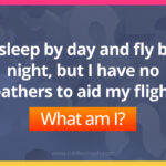 I sleep by day and fly by night, but I have no feathers to aid my flight. What am I?