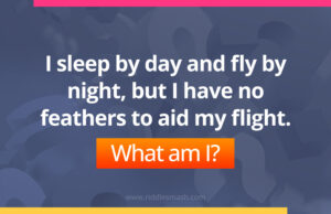 I sleep by day and fly by night, but I have no feathers to aid my flight. What am I?