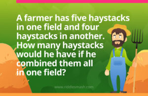 A farmer has five haystacks in one field and four haystacks in another. How many haystacks would he have if he combined them all in one field?