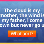 The cloud is my mother, the wind is my father, i come down but never go up. what am I?