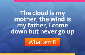 The cloud is my mother, the wind is my father, i come down but never go up. what am I?