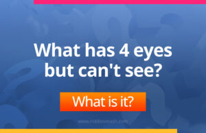 What has 4 eyes but can't see?