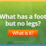 What has a foot but no legs - Riddle