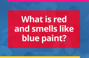 What is red and smells like blue paint?