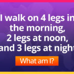 I walk on 4 legs in the morning, 2 legs at noon, and 3 legs at night. What am I?