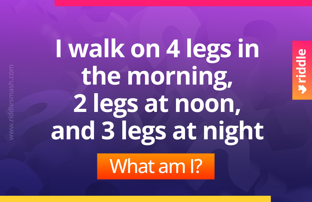 I walk on 4 legs in the morning, 2 legs at noon, and 3 legs at night. What am I?