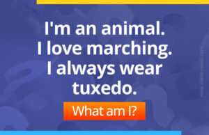 I'm an animal. I love marching. I always wear tuxedo. what am I?