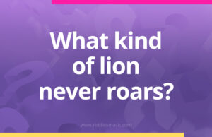 What kind of lion never roars?