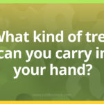 What kind of tree can you carry in your hand?