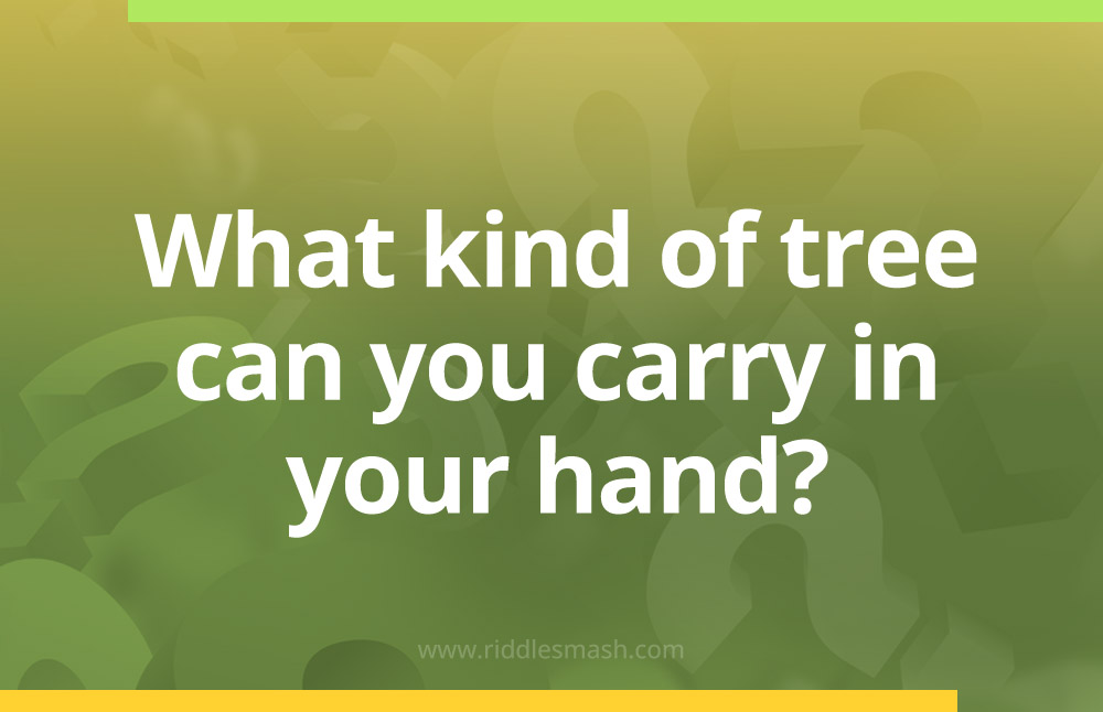 What kind of tree can you carry in your hand?