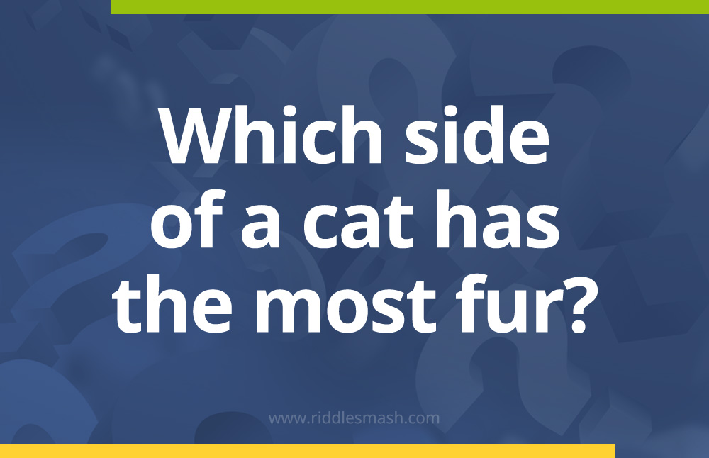 Which side of a cat has the most fur?