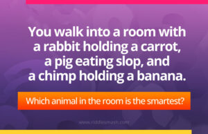 You walk into a room with a rabbit holding a carrot, a pig eating slop, and a chimp holding a banana. Which animal in the room is the smartest?